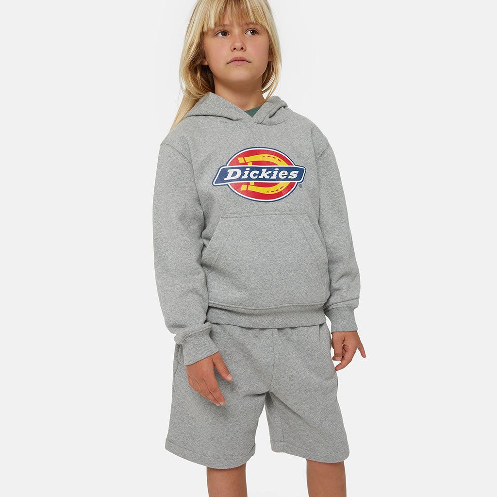 Kapuzenpullover Youth Logo Grey