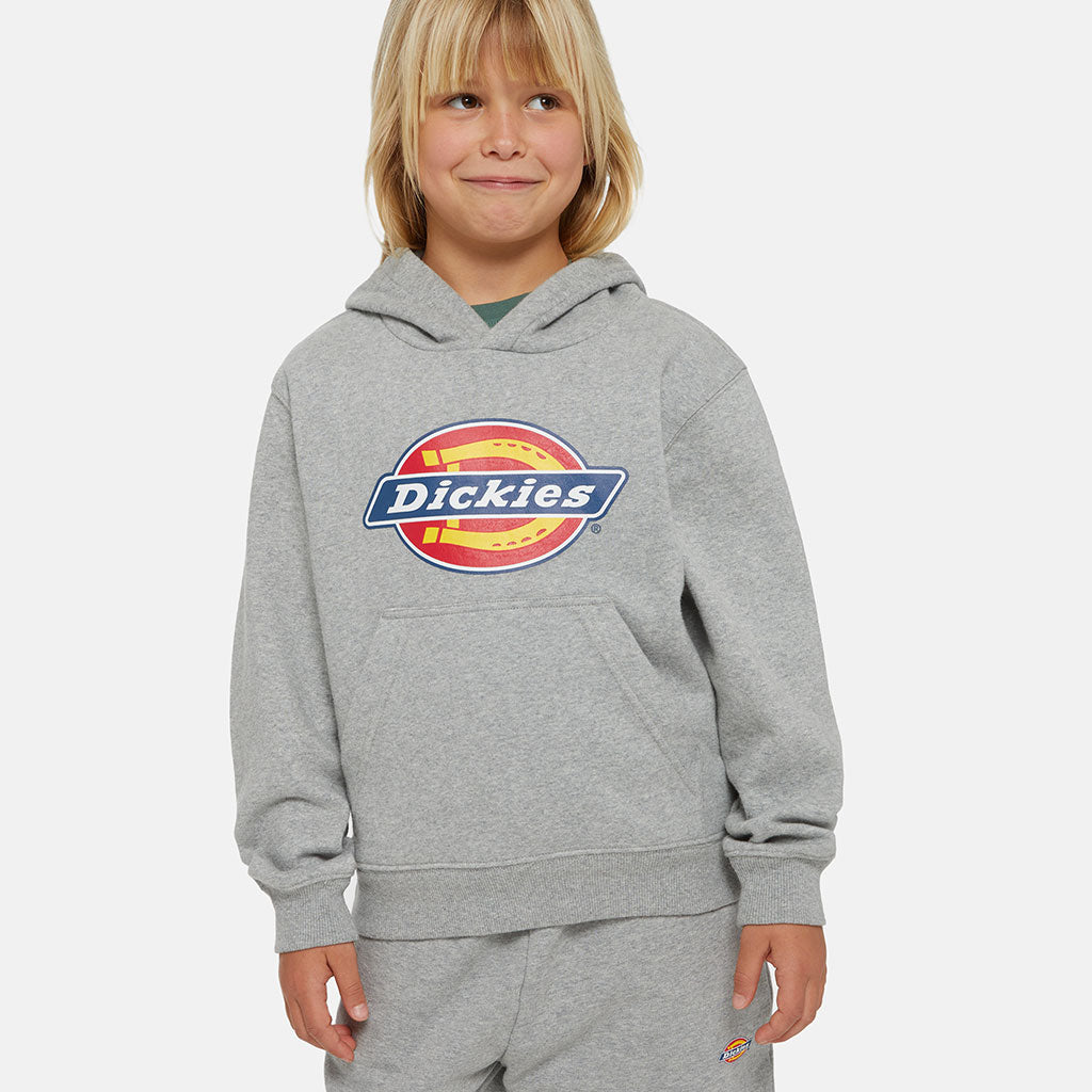 Kapuzenpullover Youth Logo Grey