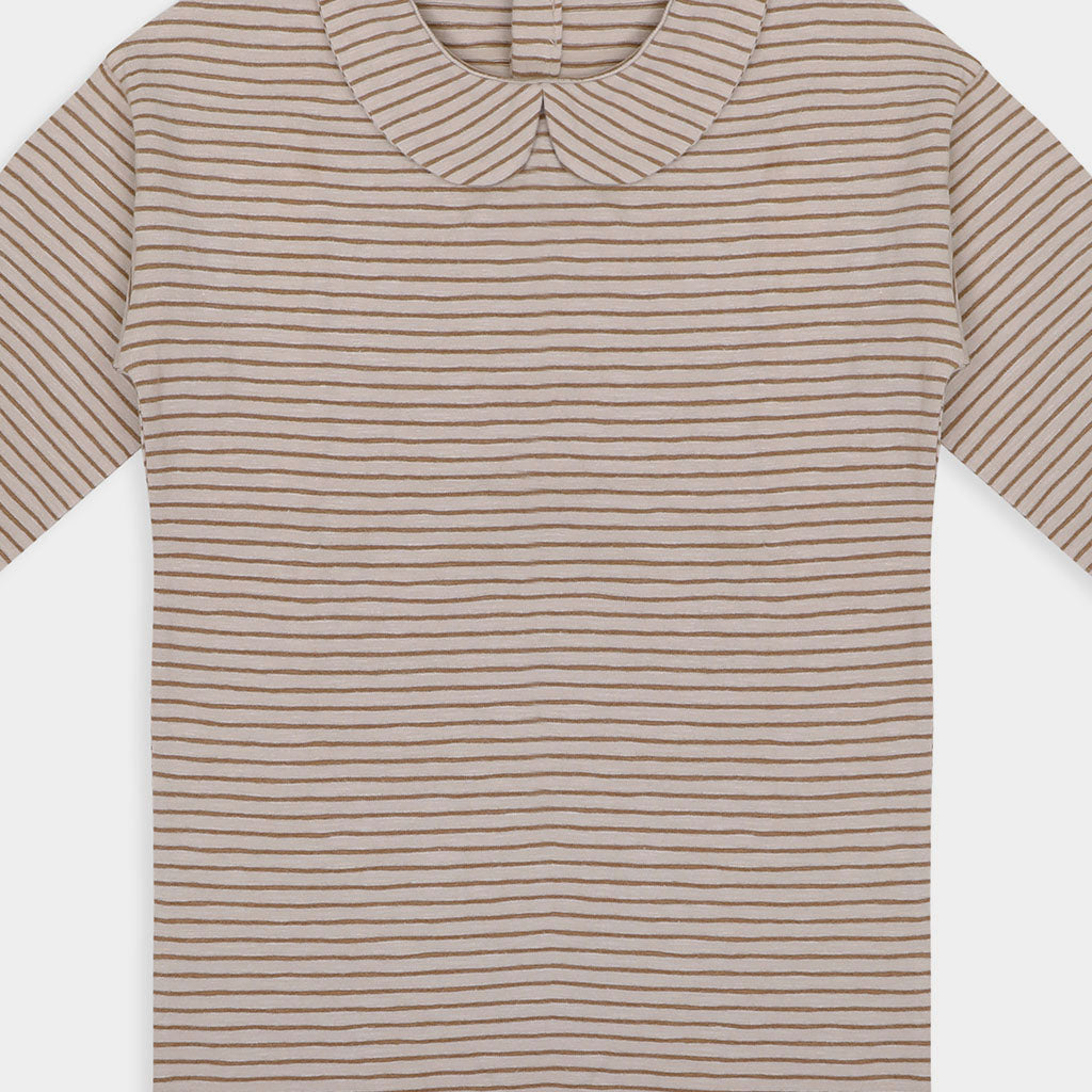 Shirt Collar Stripes