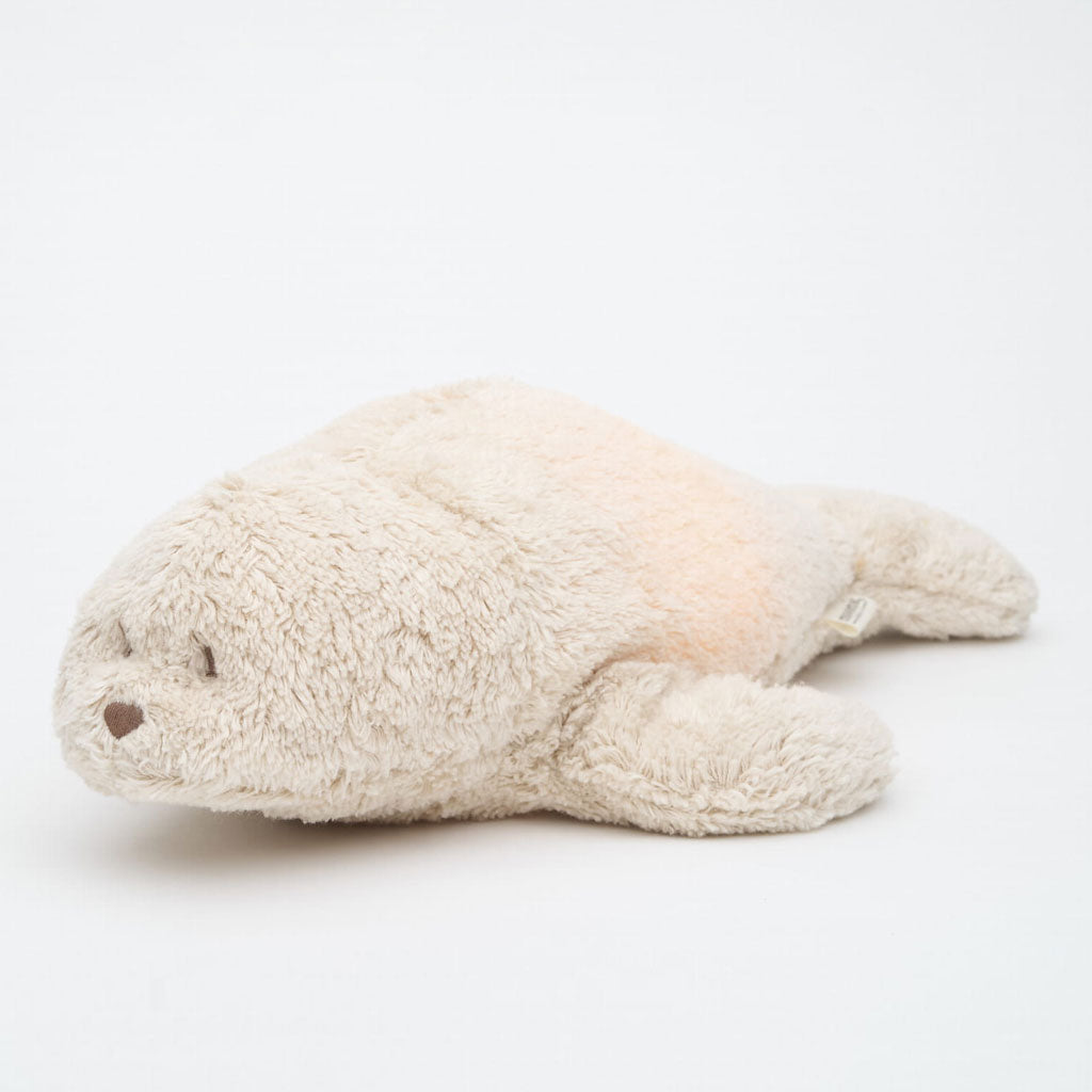 Seehund Seal Humming Sand