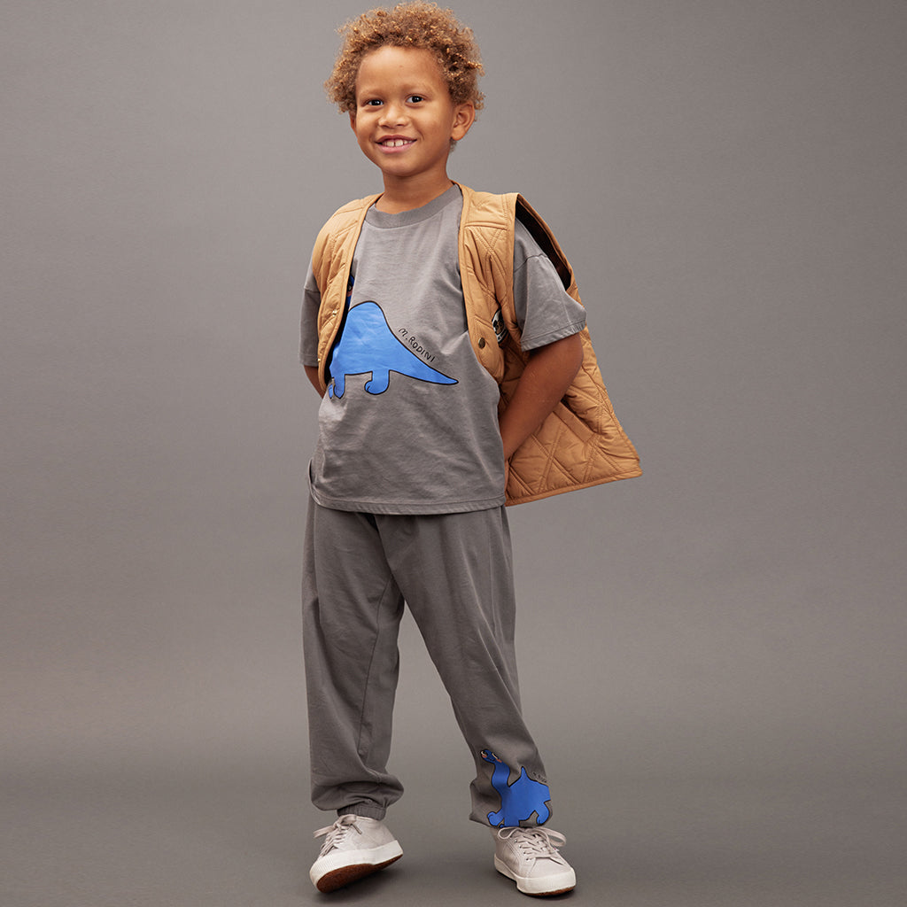 T-Shirt Dino Grey
