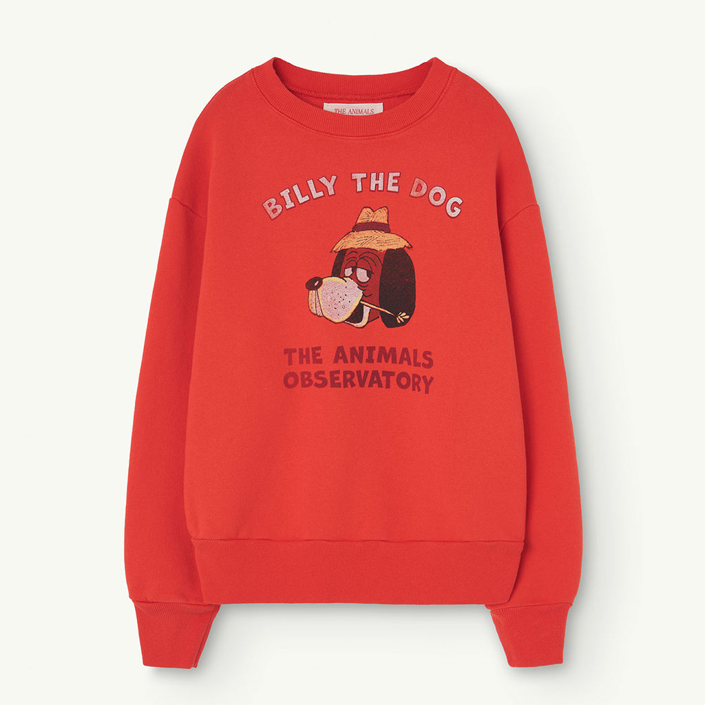 Sweatshirt Bear Red