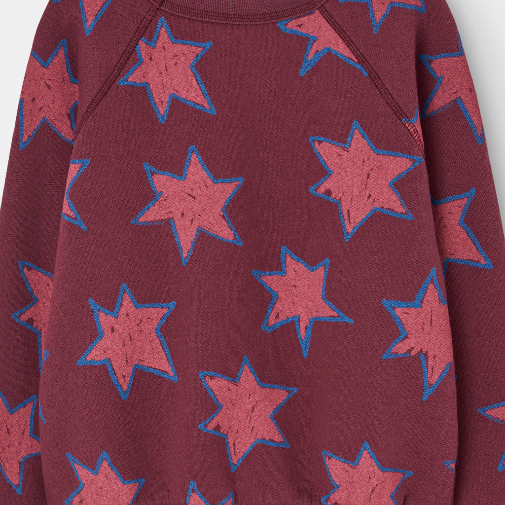 Sweatshirt Shark Browned