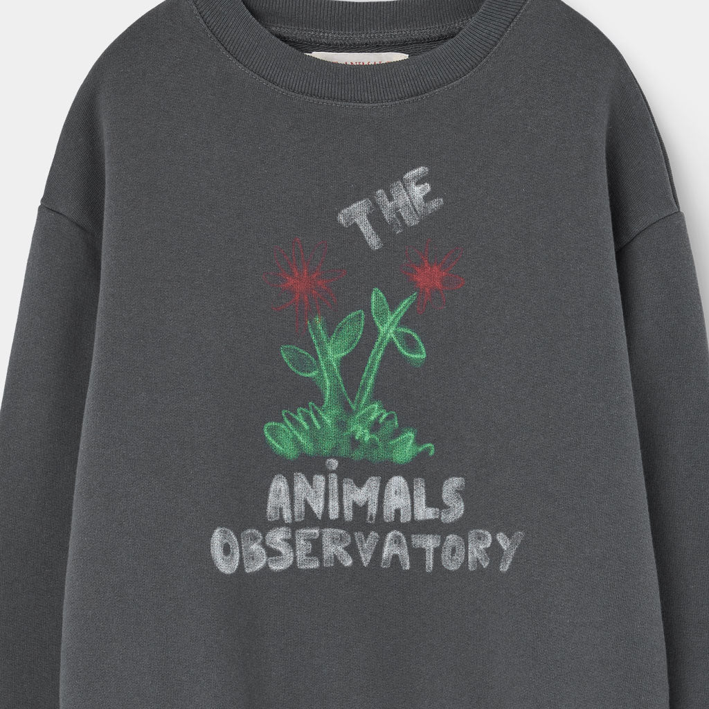 Sweatshirt Bear Dark Grey