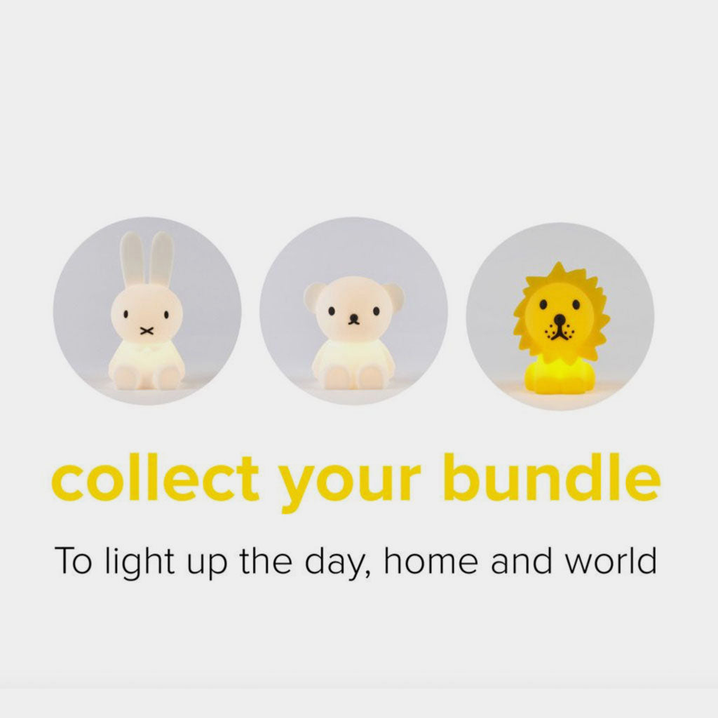 Mini Light Lion