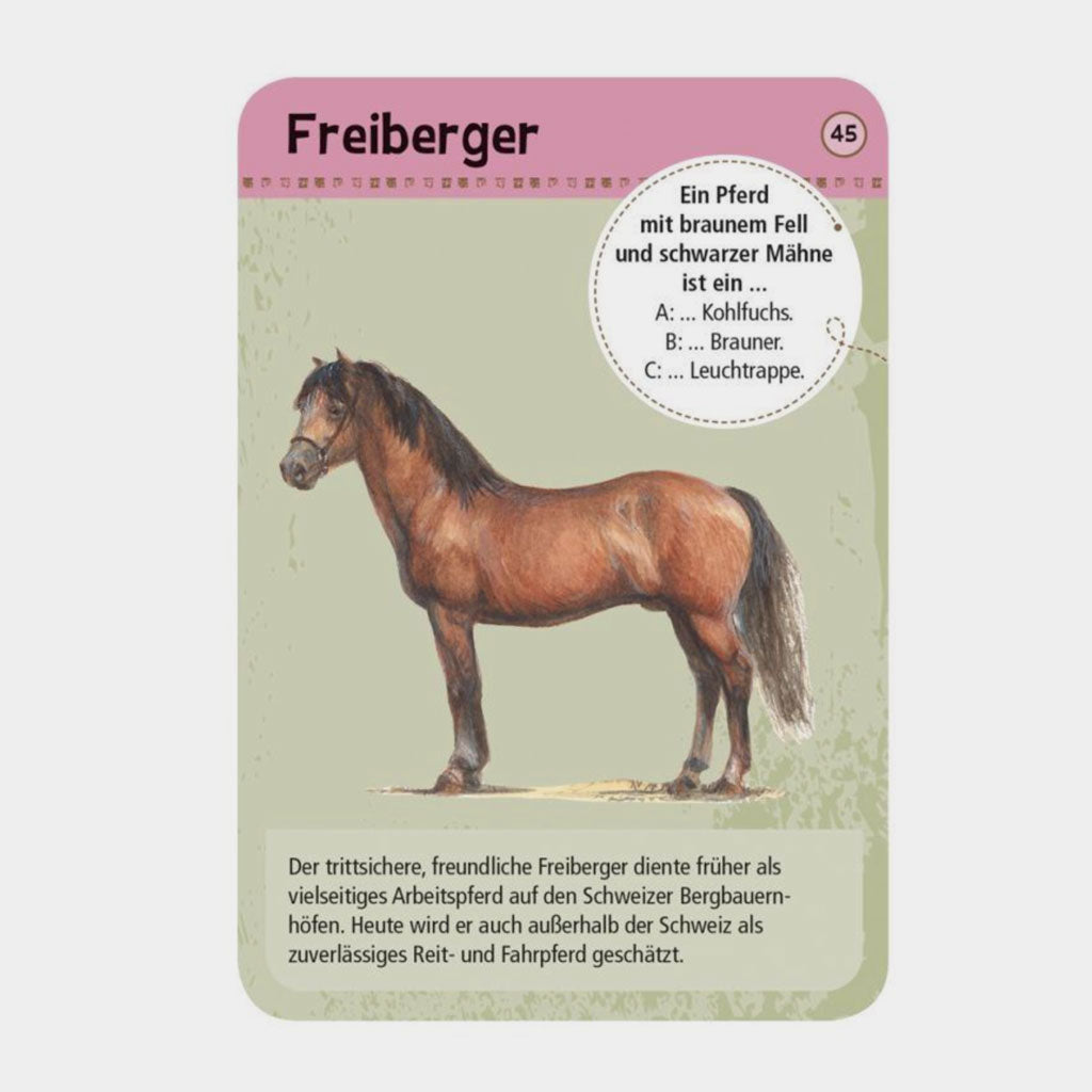 Expedition Natur 50 Pferde & Ponys